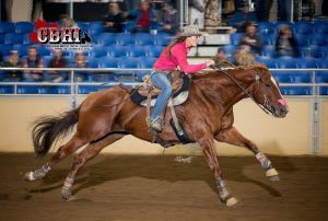 2014 Mare