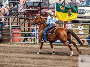 JR RODEO &amp; GAMES-Getaway Stix 'Riot- 2010 AQHA Mare