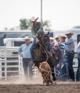Reliable gelding for all your roping needs